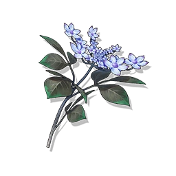 rimewisp - وذرنق العرب - lynae,lynae wuthering waves kit,ليني وذرنق,ليني وذرنق العرب,lynae wuwa - Lynae Rimewisp