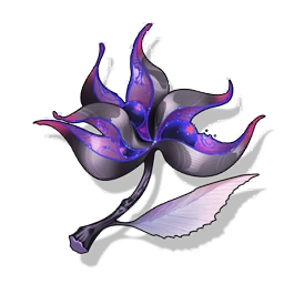 Dream of Stars