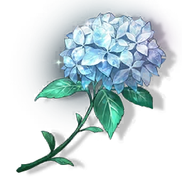 Summer Flower