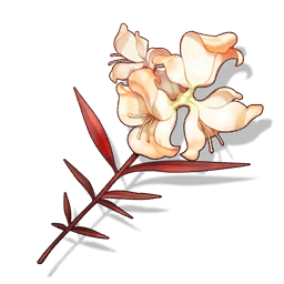 Bloodleaf Viburnum - وذرنق العرب - لوبا وذرنق,شرح لوبا,شخصية لوبا,بناء لوبا,أفضل إيكوز لوبا - Lupa Bloodleaf Viburnum