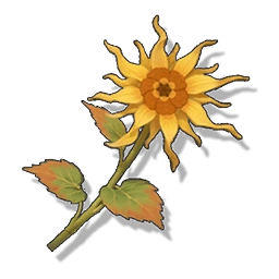 Luminous Calendula