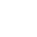 Basic Attack